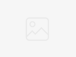 'ಡಮ್ಮಿ' ಸಾಮಾಜಿಕ ಮಾಧ್ಯಮ ಯುದ್ಧಭೂಮಿ: ರಾಜಕೀಯ ಪ್ರಚಾರಗಳು ಡಿಜಿಟಲ್ ಕ್ಷೇತ್ರಕ್ಕೆ ಬದಲಾಗುತ್ತವೆ